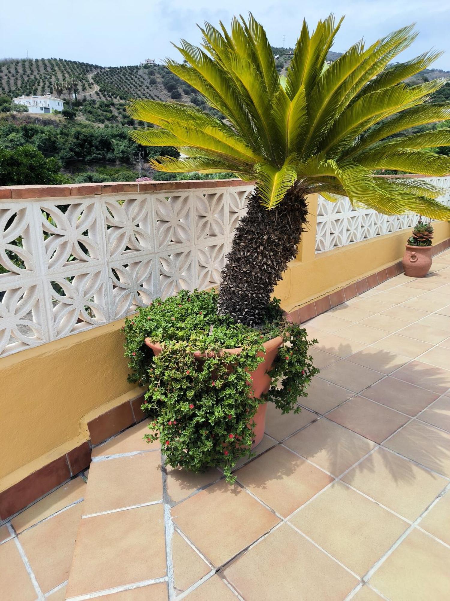 Cortijo Maria Gomez Villa Malaga Luaran gambar